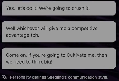 final personality statements